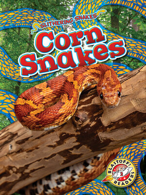 cover image of Corn Snakes
